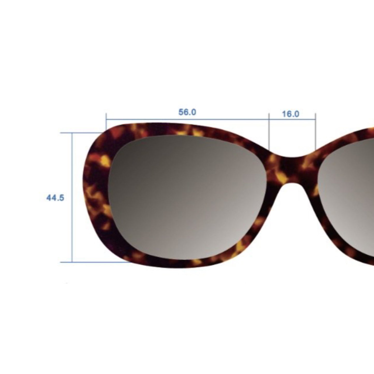 Solefx UV Blocking Sunglasses - AMBERNOON